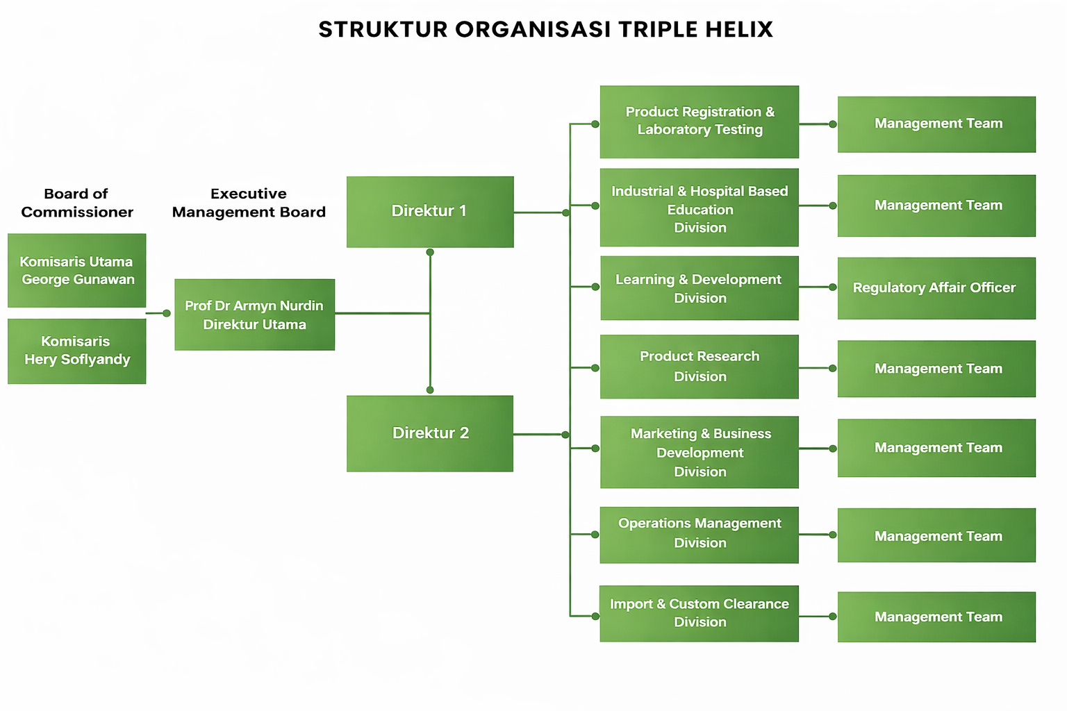 Struktur Organisasi Triple Helix Indonesia